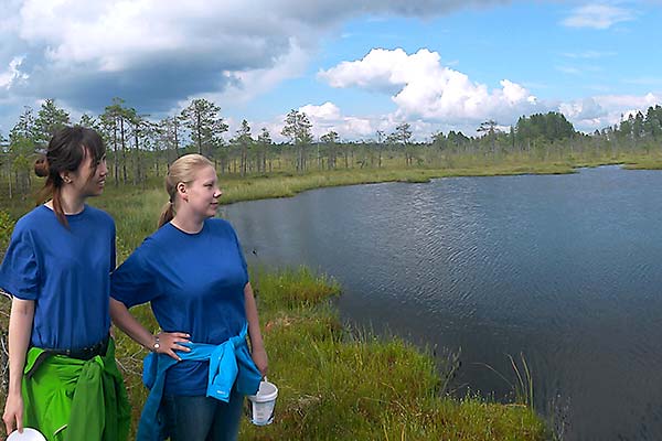 Viurusuo outokumpu Viurusuo outokumpu